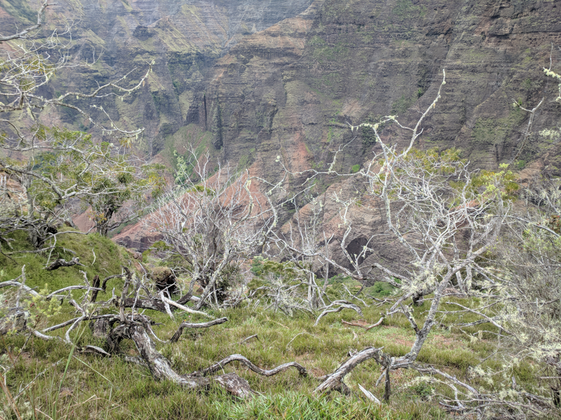 Illustration for article titled Waimea Canyon photo dump